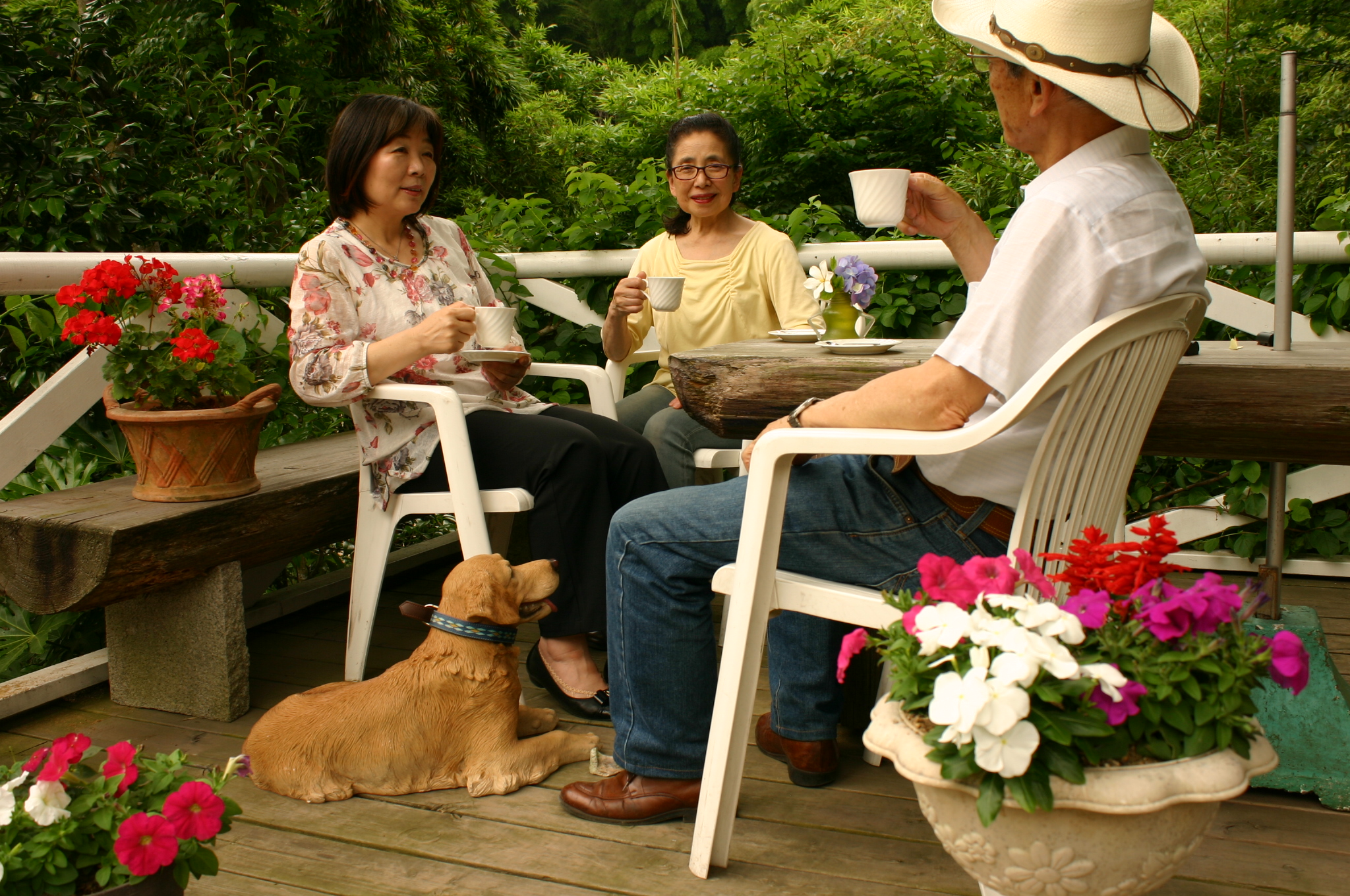 ワンちゃんコーナー
