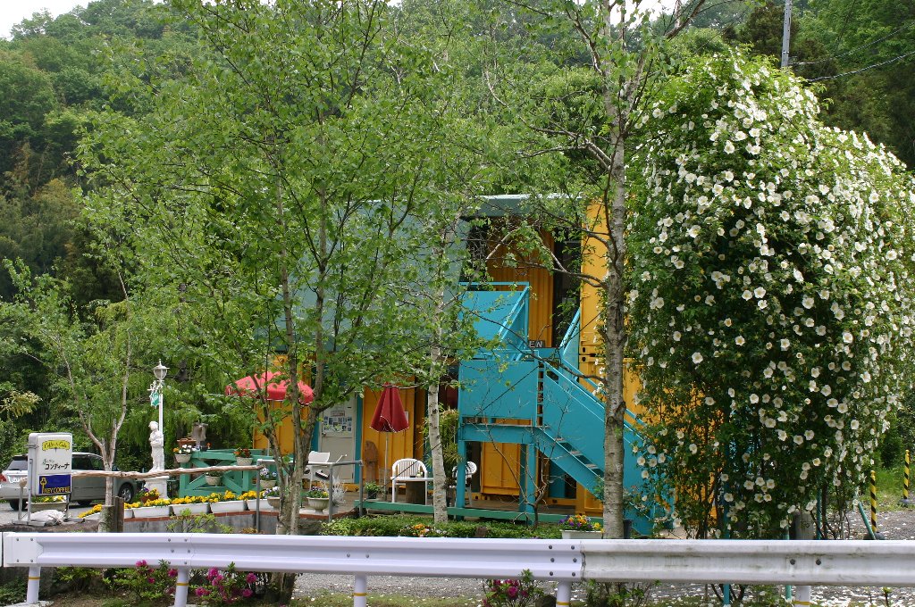 新緑と5月のバラ(2016年5月)